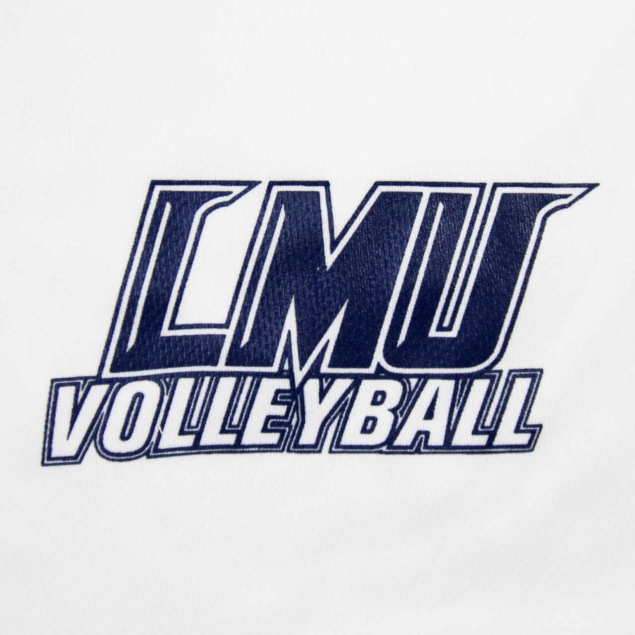 LMU Railsplitters